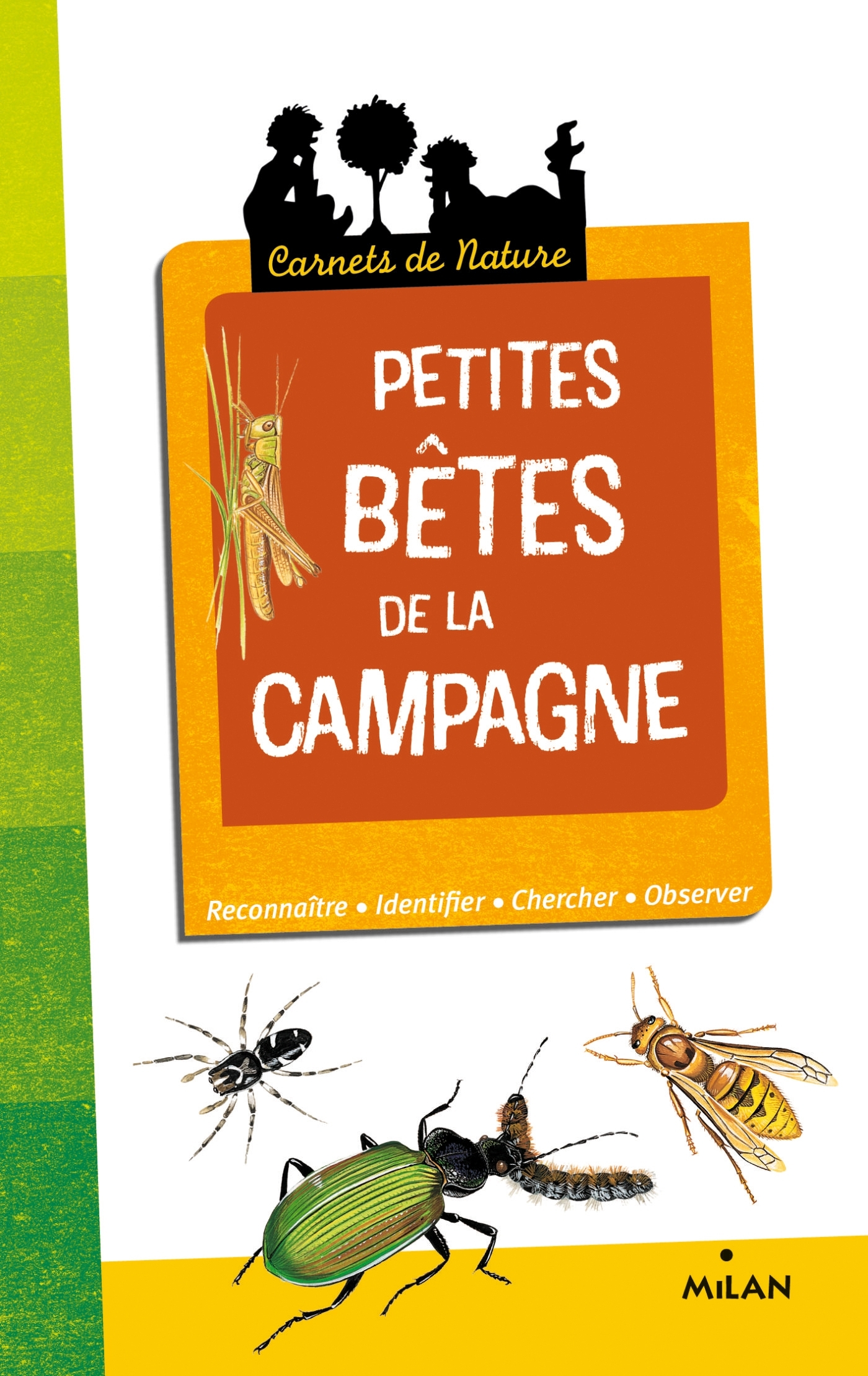 Petites bêtes de la campagne