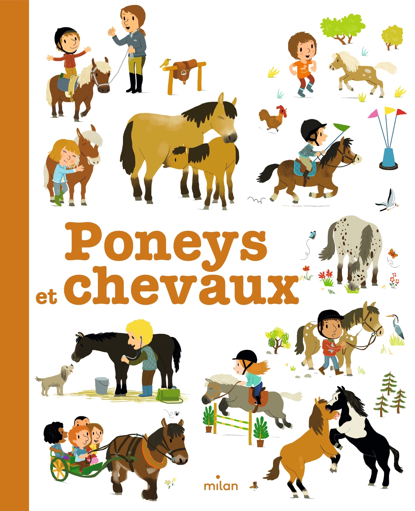 Poneys et chevaux