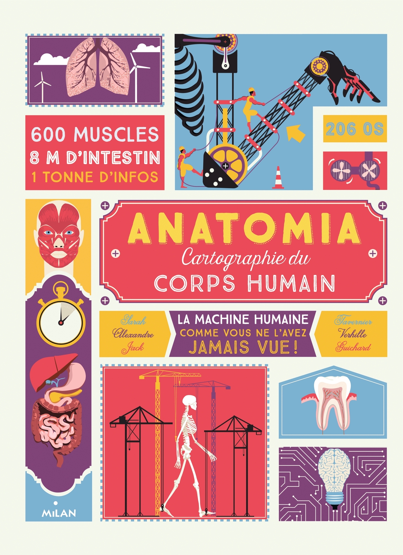 Anatomia