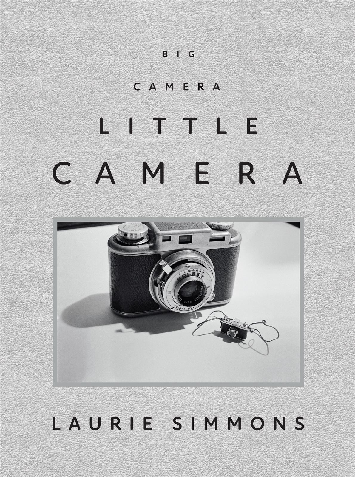 Laurie Simmons Big Camera/Little Camera /anglais