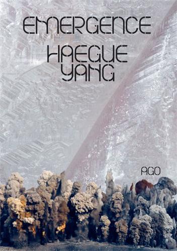 Haegue Yang Emergence /anglais