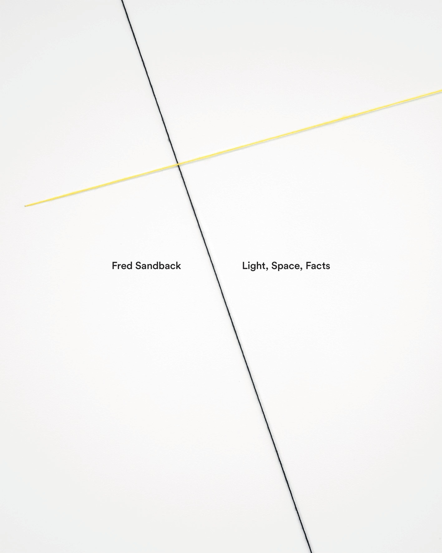 Fred Sandback Light Space Facts /anglais