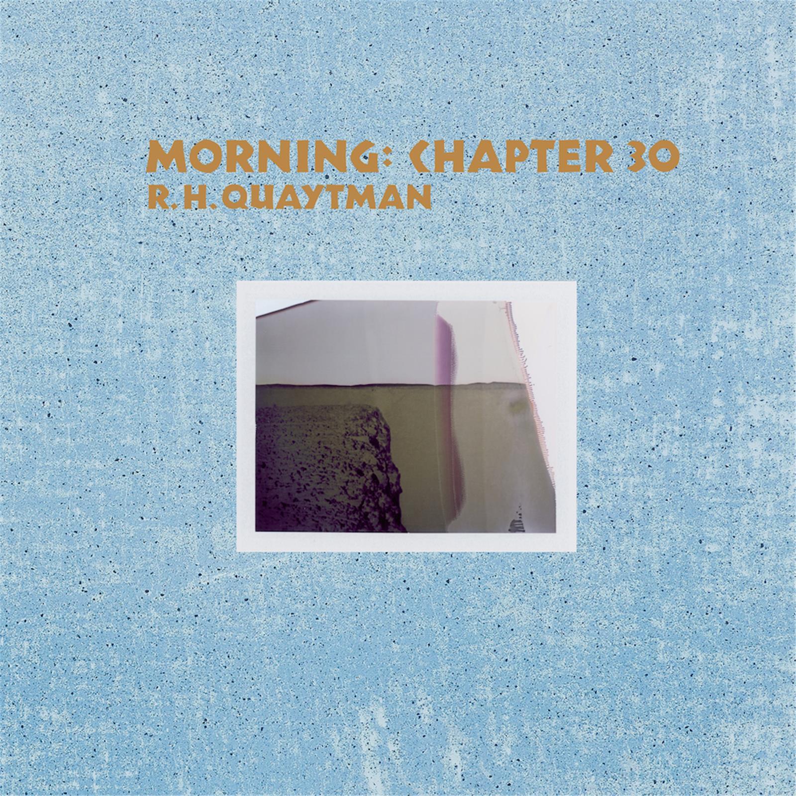 R. H. Quaytman Morning Chapter 30 /anglais