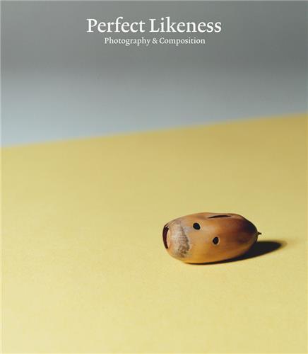 Perfect Likeness Photography and Composition /anglais