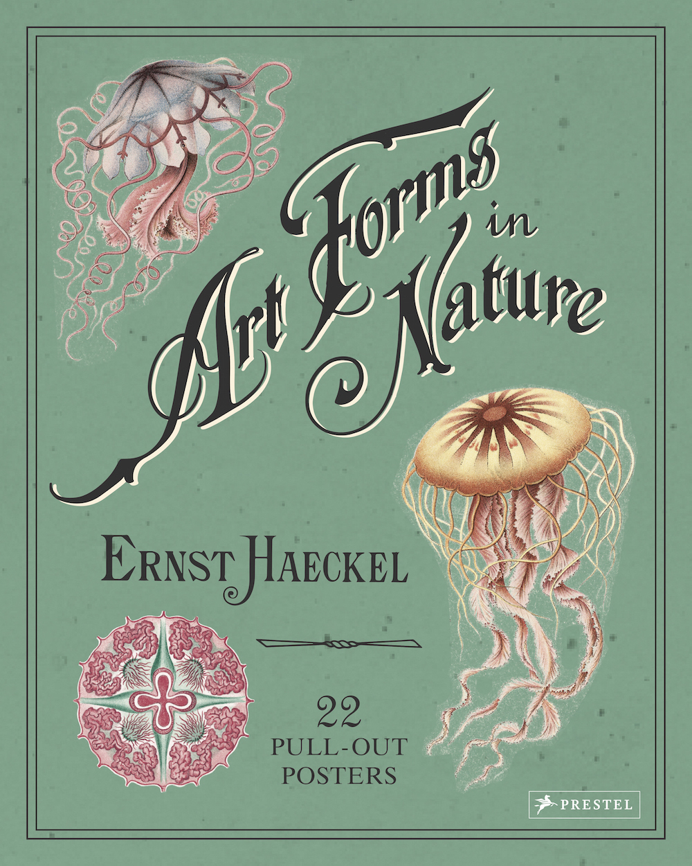 Ernst Haeckel Art Forms In Nature 22 Pull-Out Posters /anglais