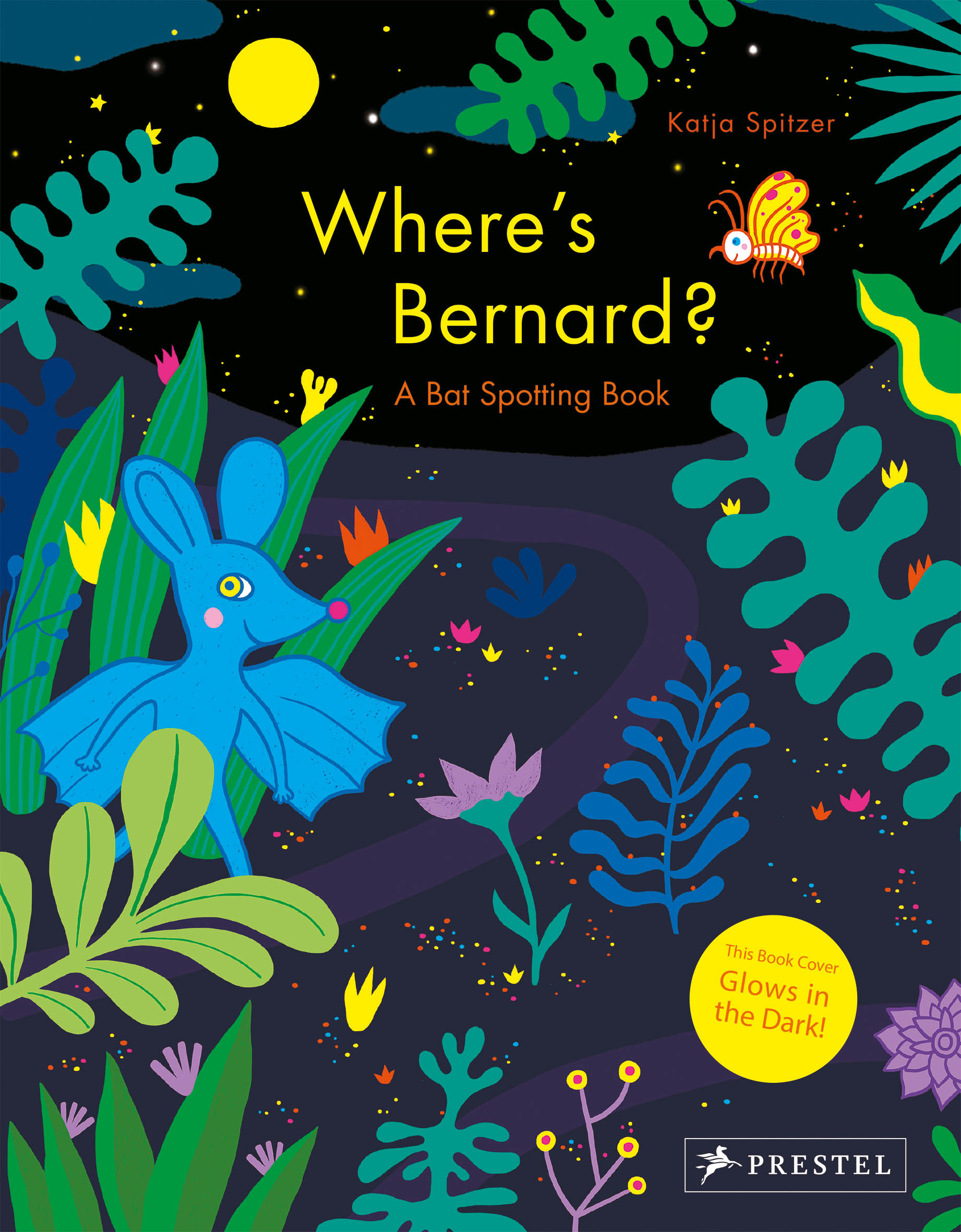 Where's Bernard? A Bat Spoting Book /anglais