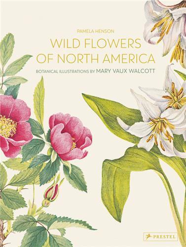 Wild Flowers of North America : Botanical Illustrations by Mary Vaux Walcott /anglais