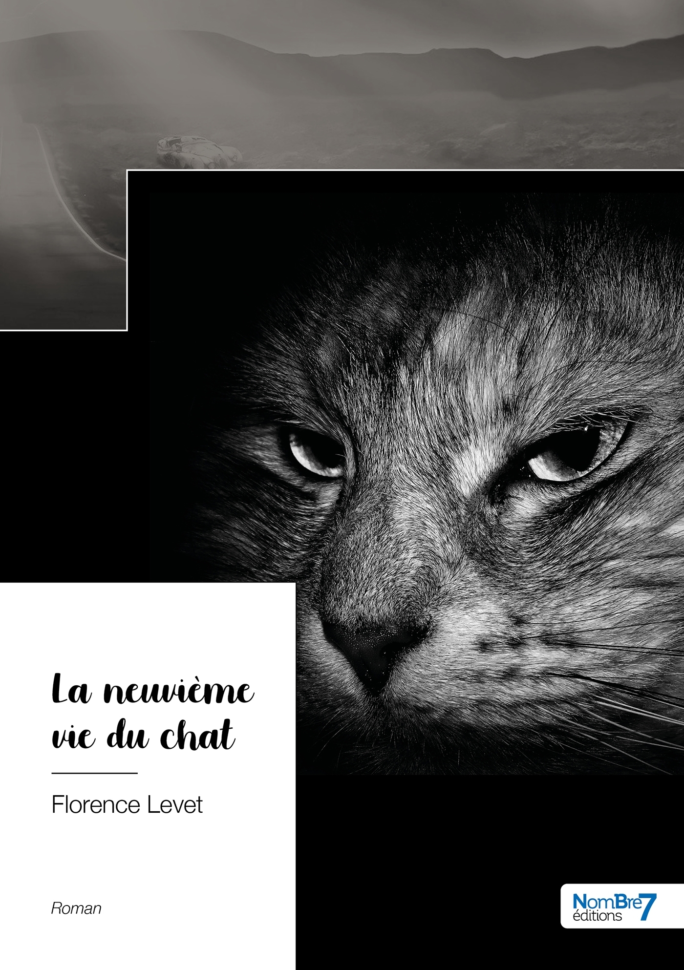 La neuvième vie du chat