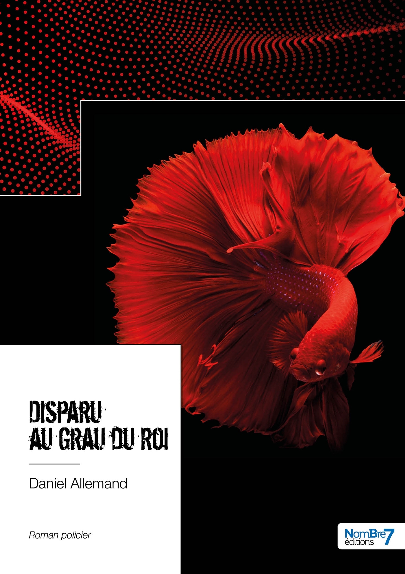 Disparu au Grau-du-Roi