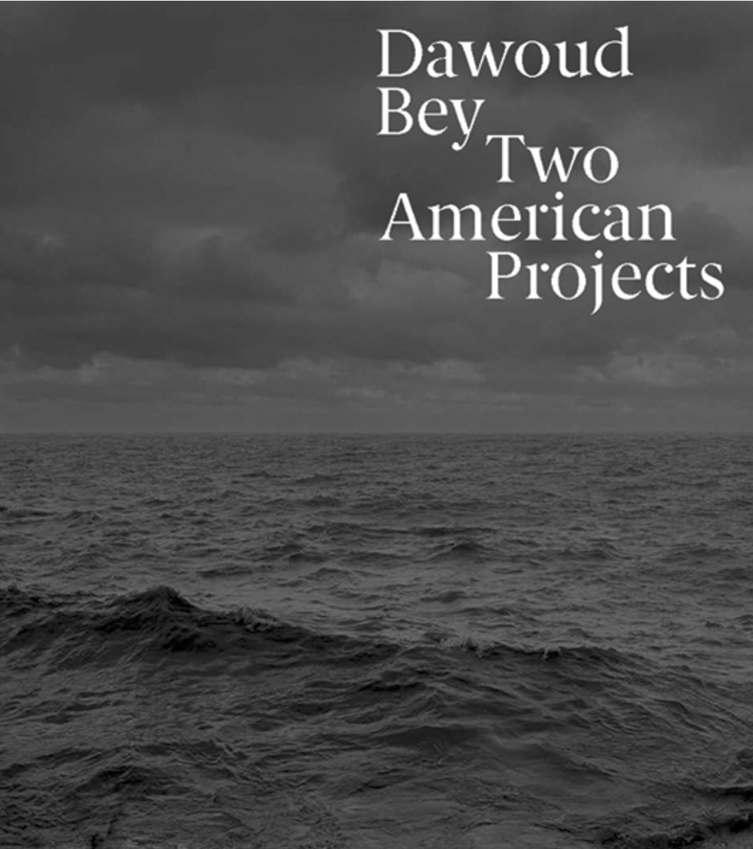 Dawoud Bey Two American Projects