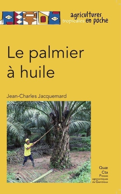 LE PALMIER A HUILE