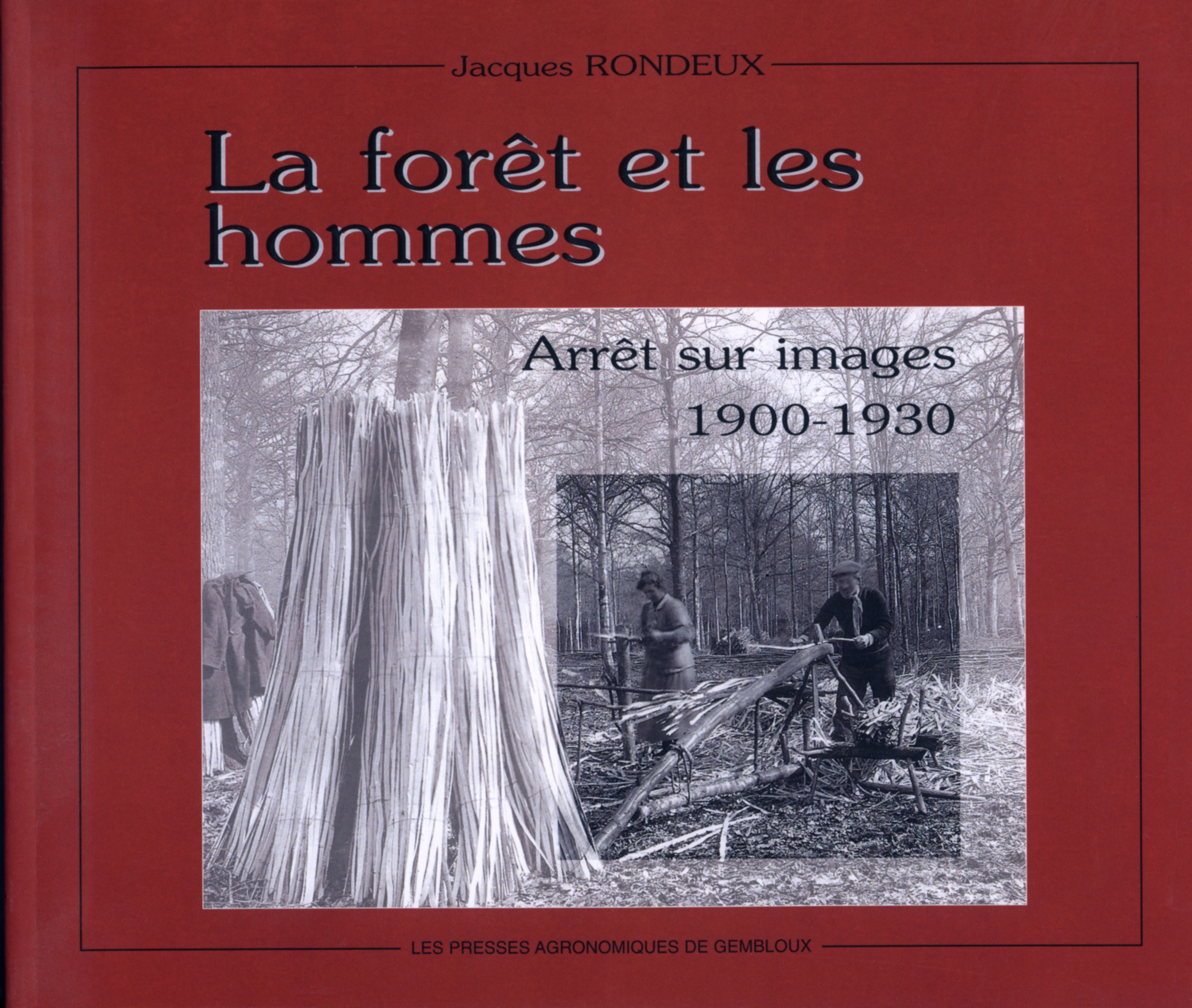 LA FORET ET LES HOMMES. ARRET SUR IMAGE 1900-1930