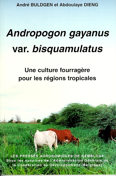 ANDROPOGON GAYANUS VAR. BISQUAMULATUS. UNE CULTURE FOURRAGERE POUR LES REGIONS TROPICALES