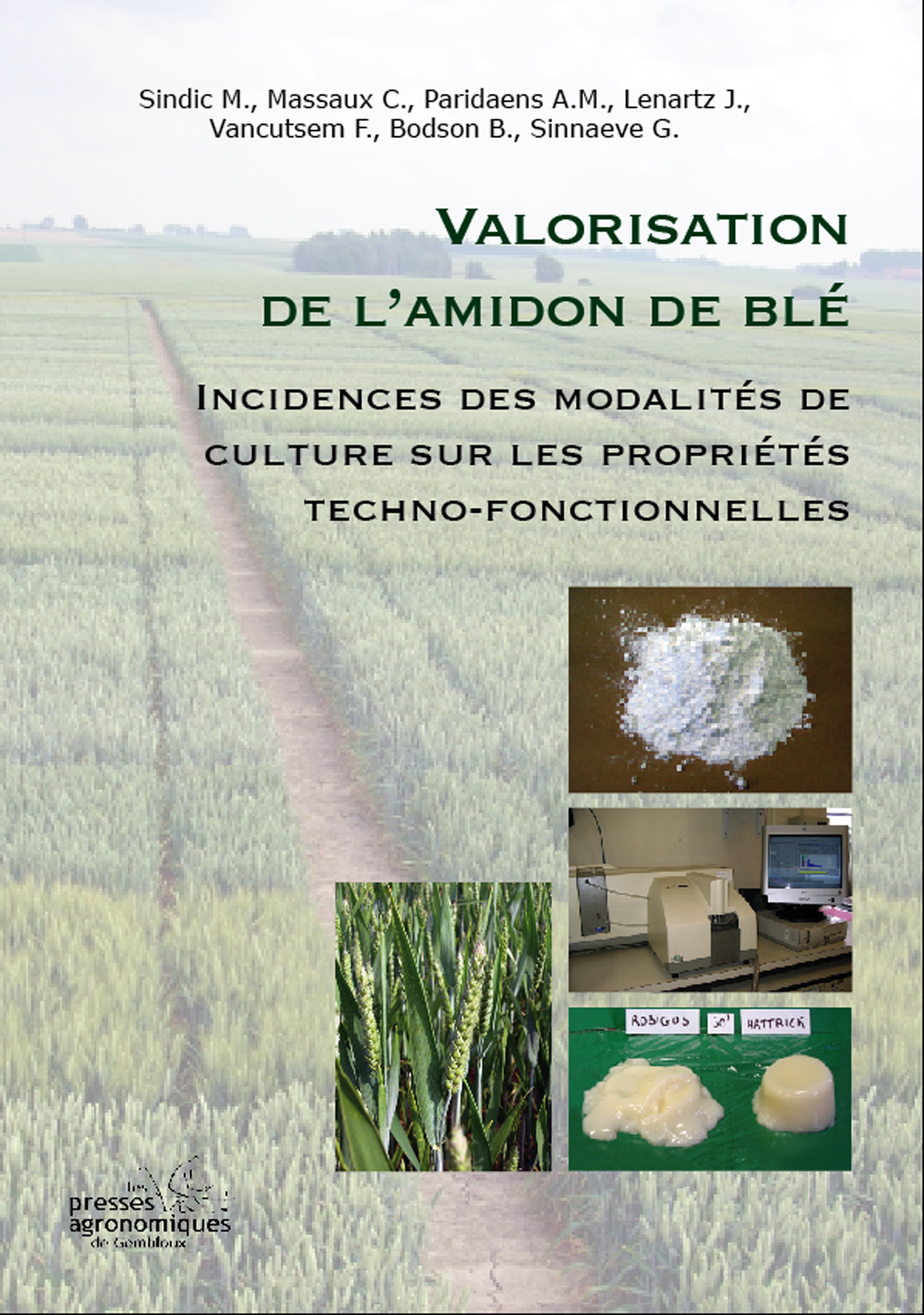 VALORISATION DE L'AMIDON DE BLE