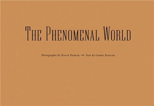 David Parker The Phenomenal World /anglais