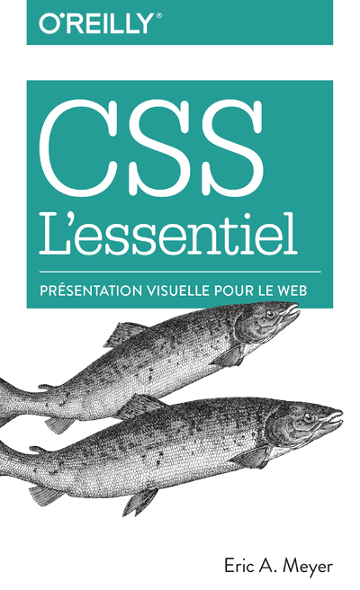 CSS l'essentiel - présentation visuelle pour le web
