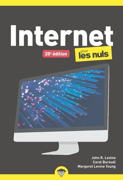Internet 20e Poche Pour les Nuls