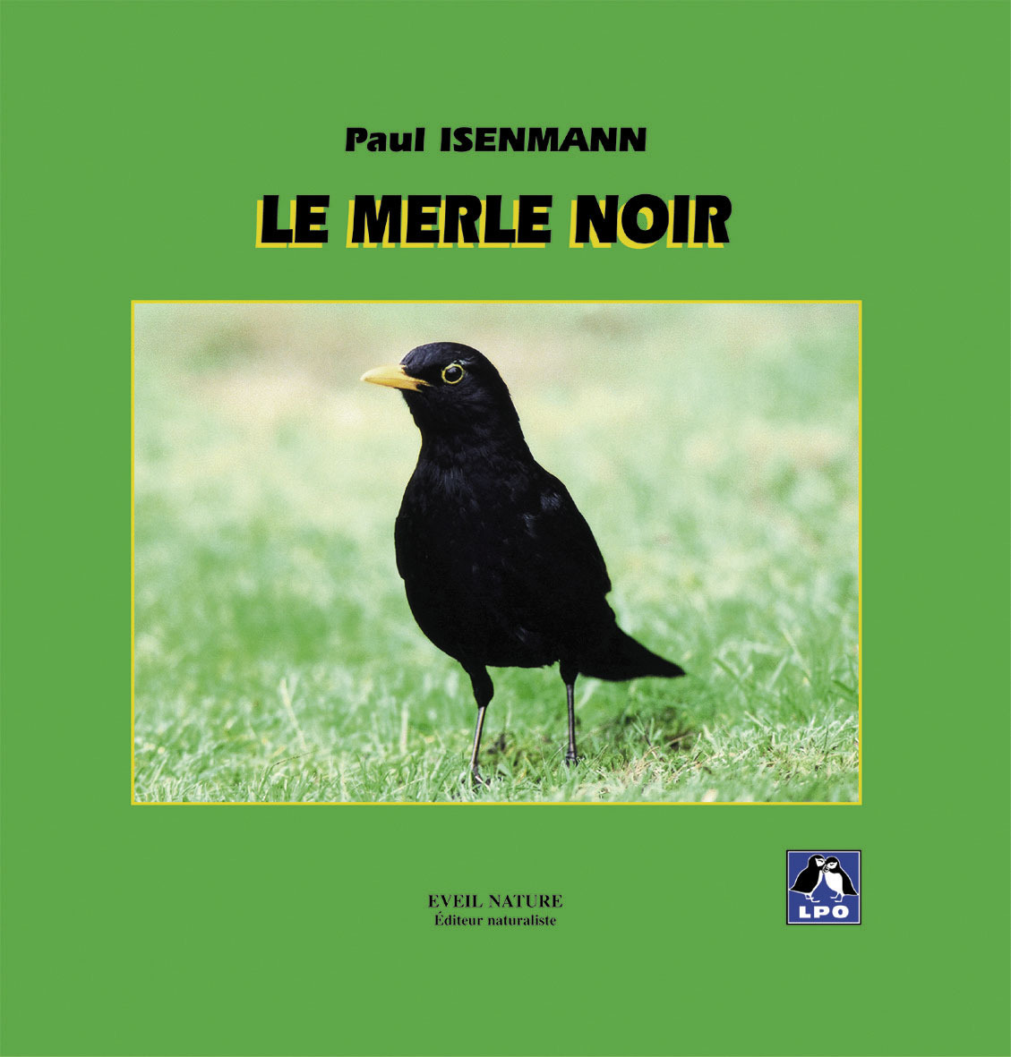 Le Merle noir