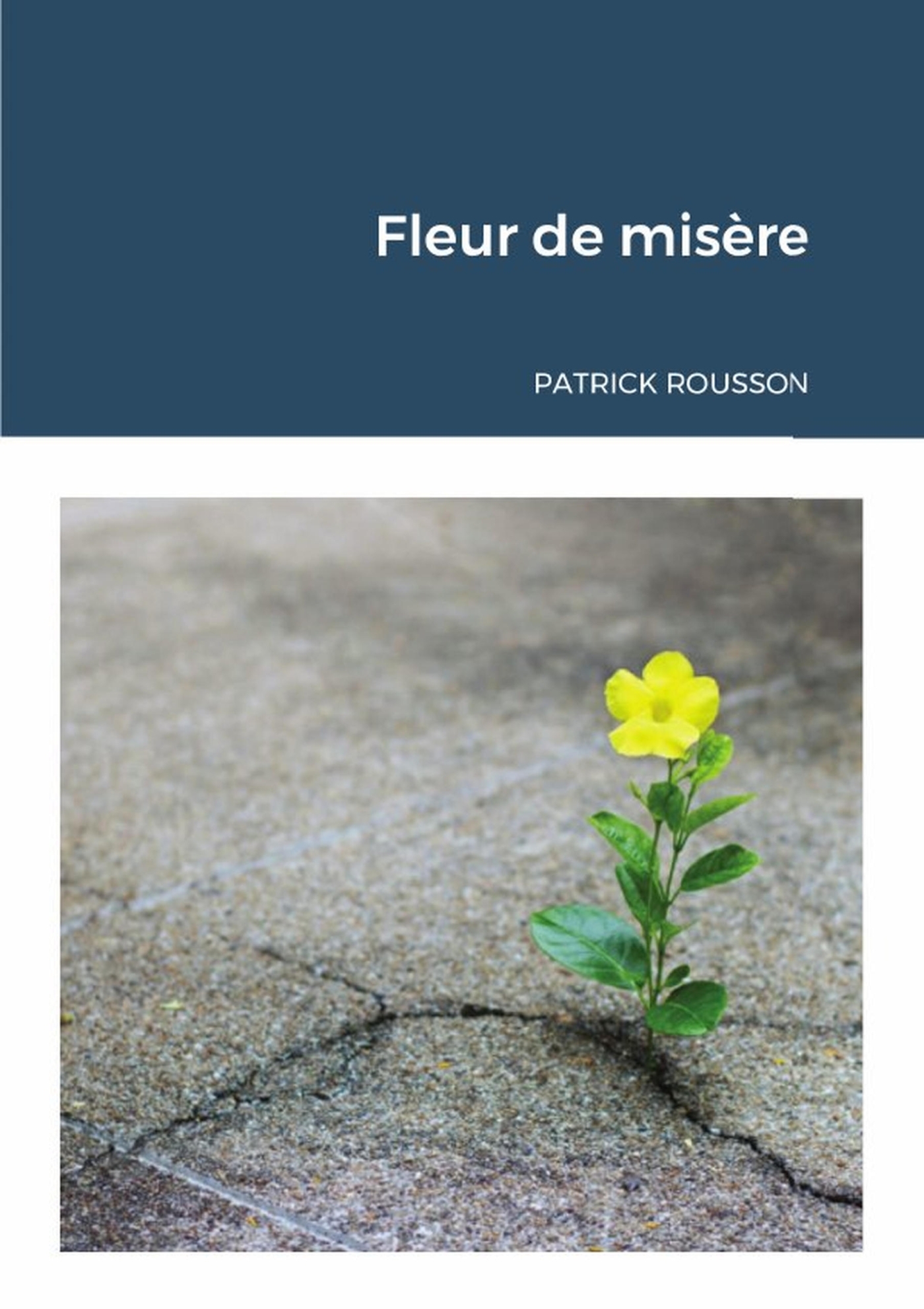 Fleur de misère