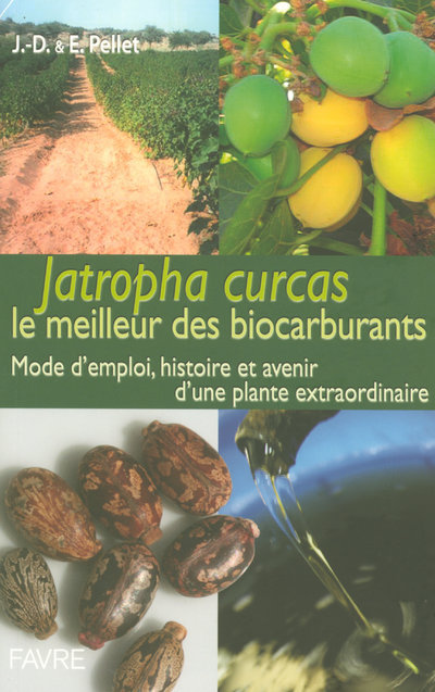 Jatropha Curcas le meilleur des biocarburants mode d'emploi histoire & avenir plante extraordinaire