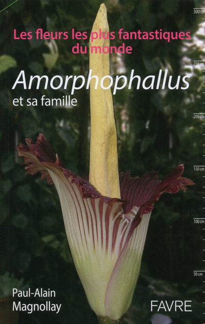 Amorphophallus et sa famille