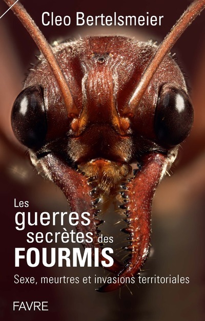 Les guerres secrètes des fourmis