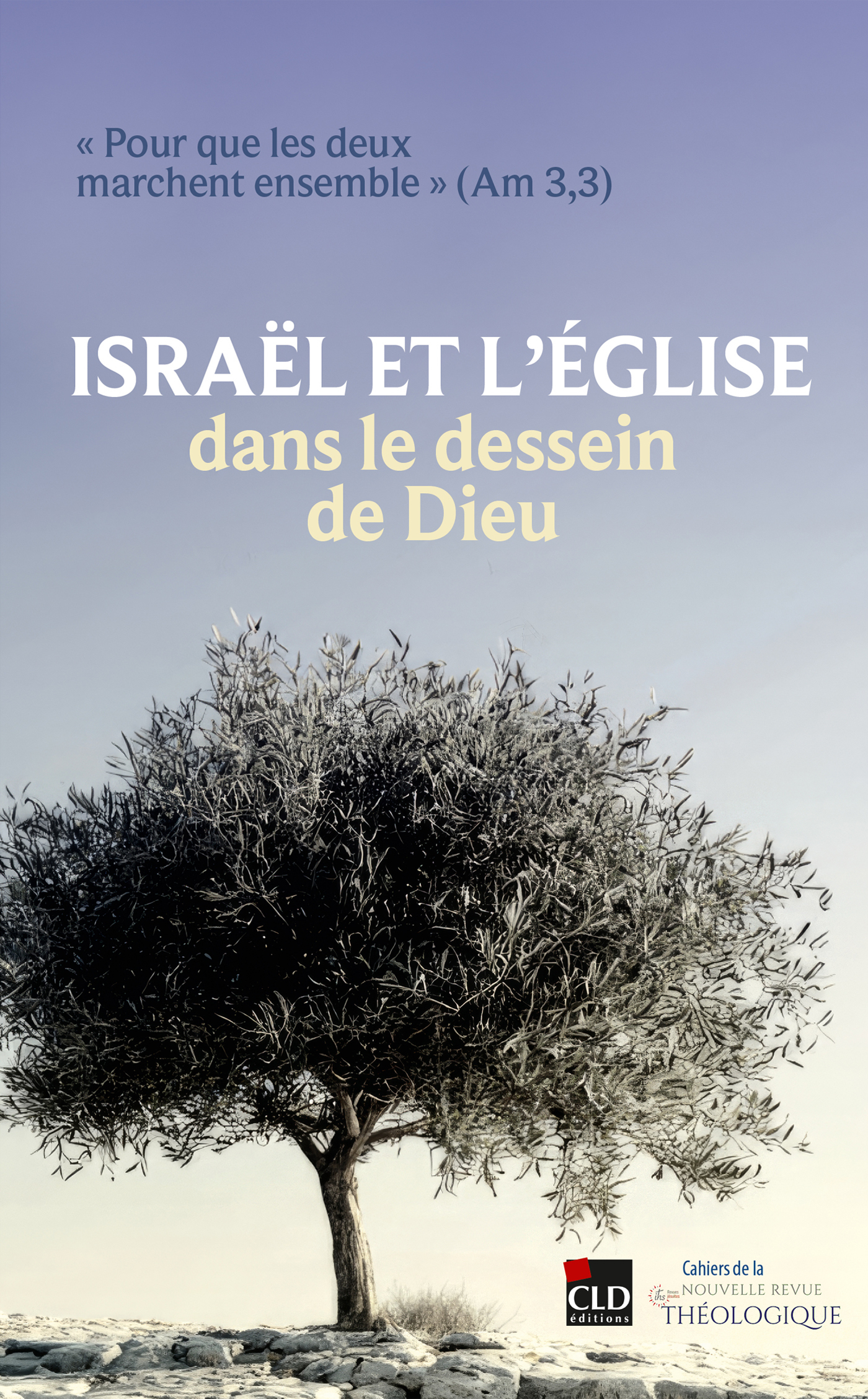 Israël et l'Église dans le dessein de Dieu