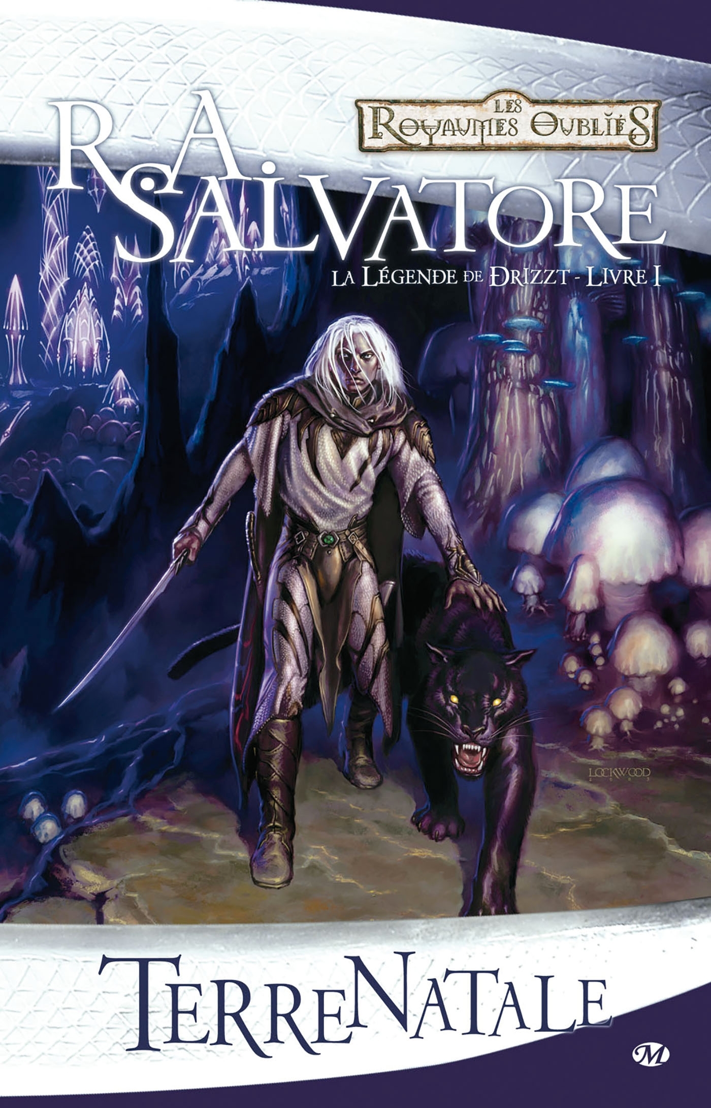 La Légende de Drizzt, T1 : Terre natale