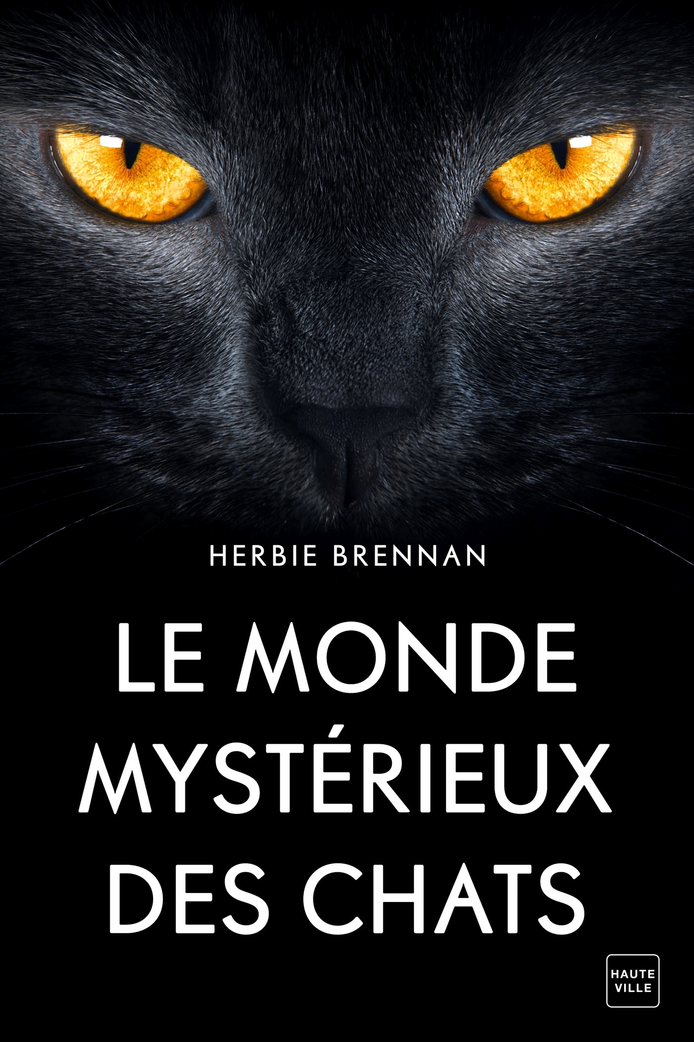 Le monde mystérieux des chats