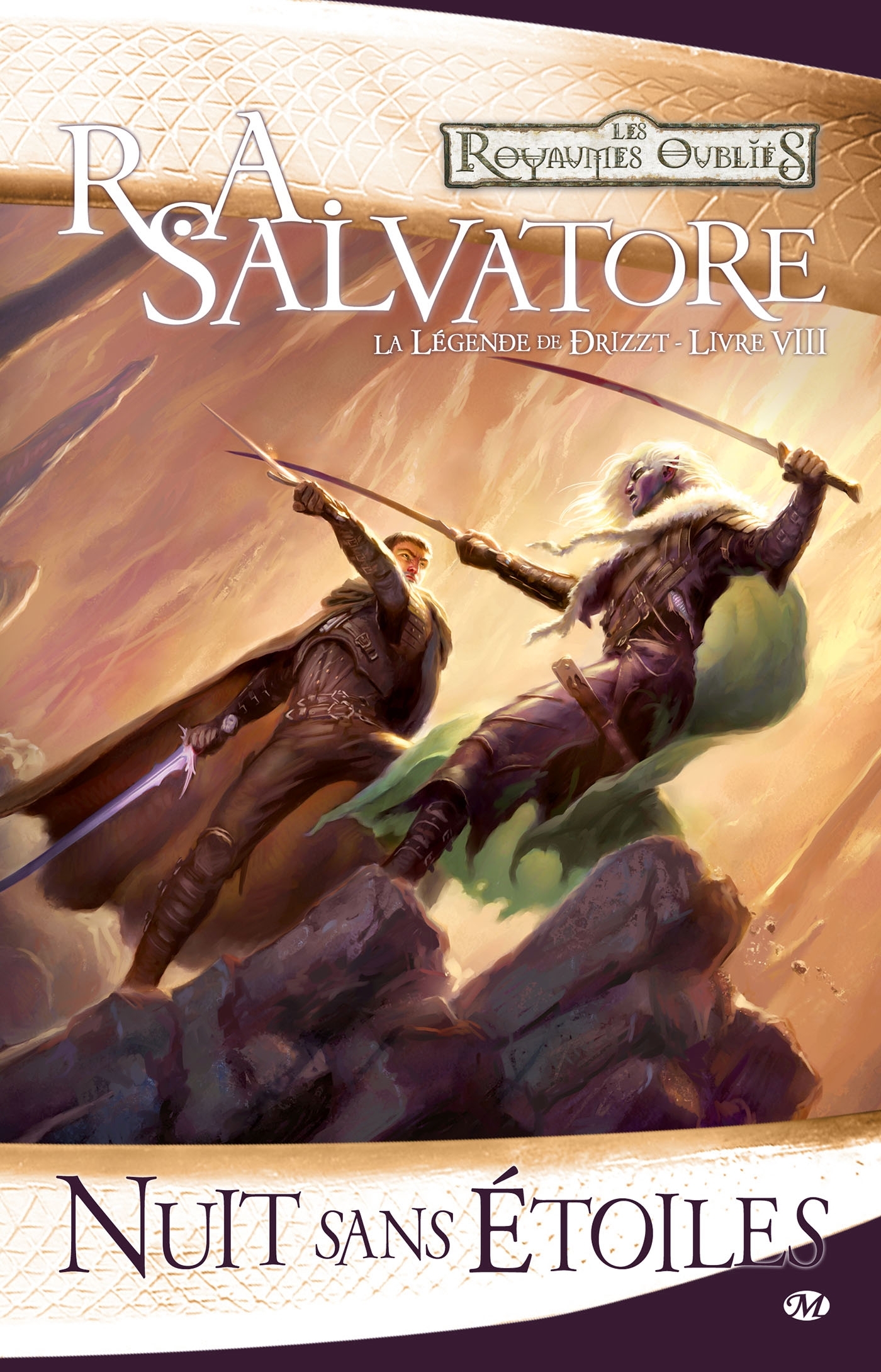 La Légende de Drizzt, T8 : Nuit sans étoiles