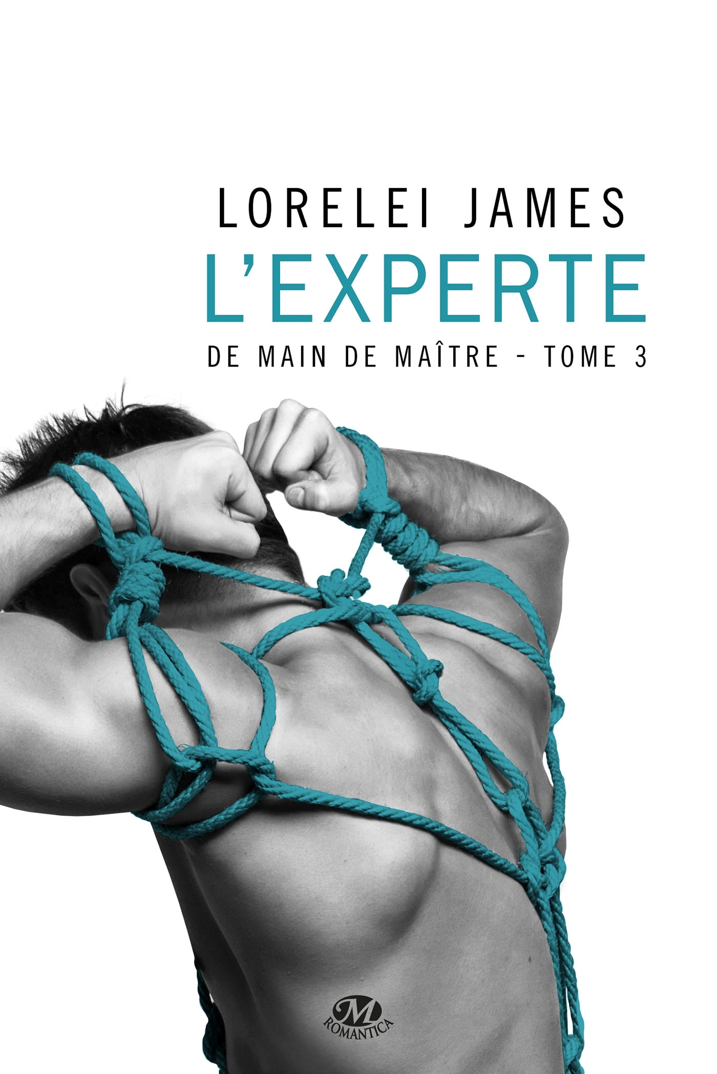 De main de maître, T3 : L'Experte