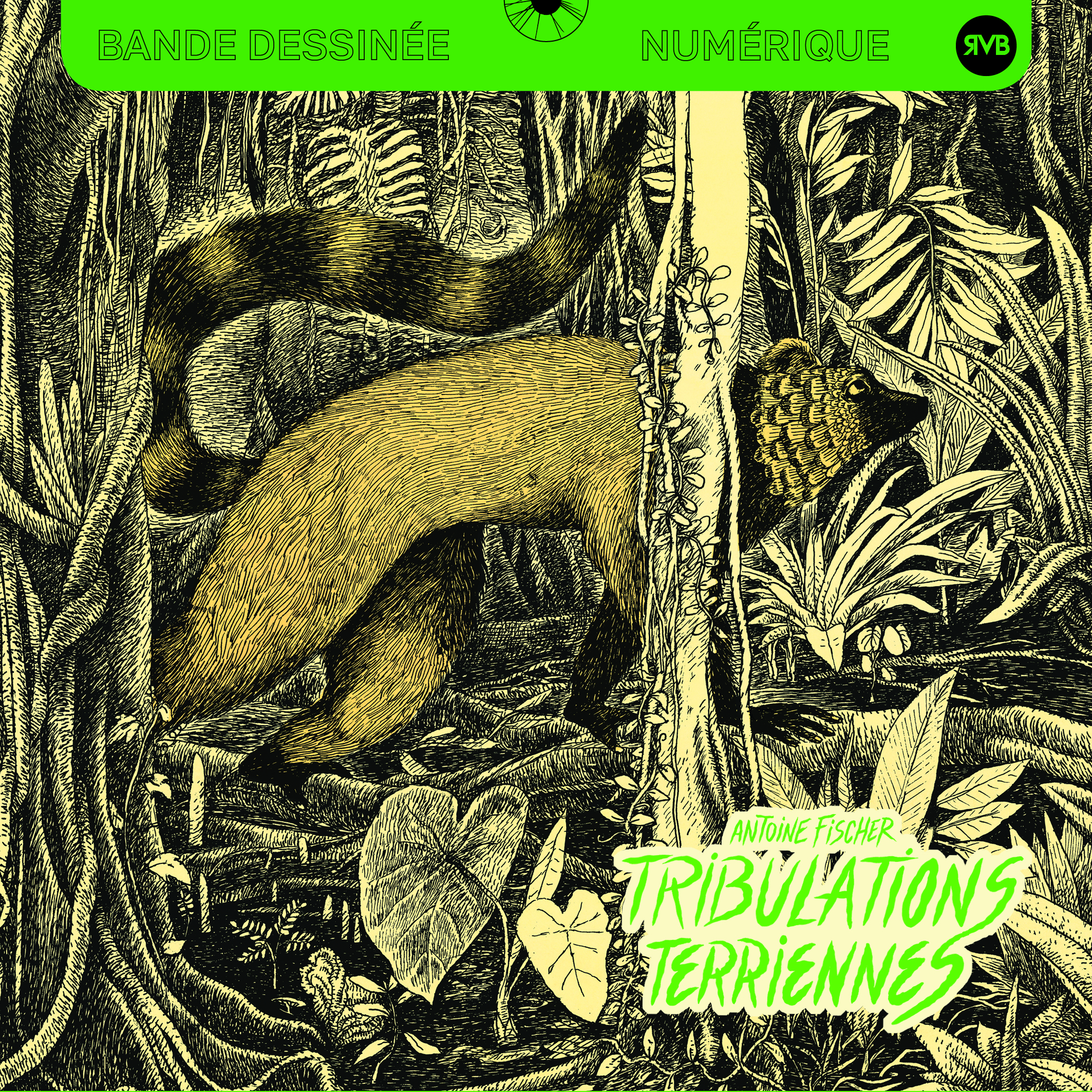 Tribulations terriennes