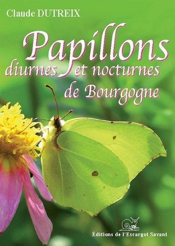 Papillons de bourgogne
