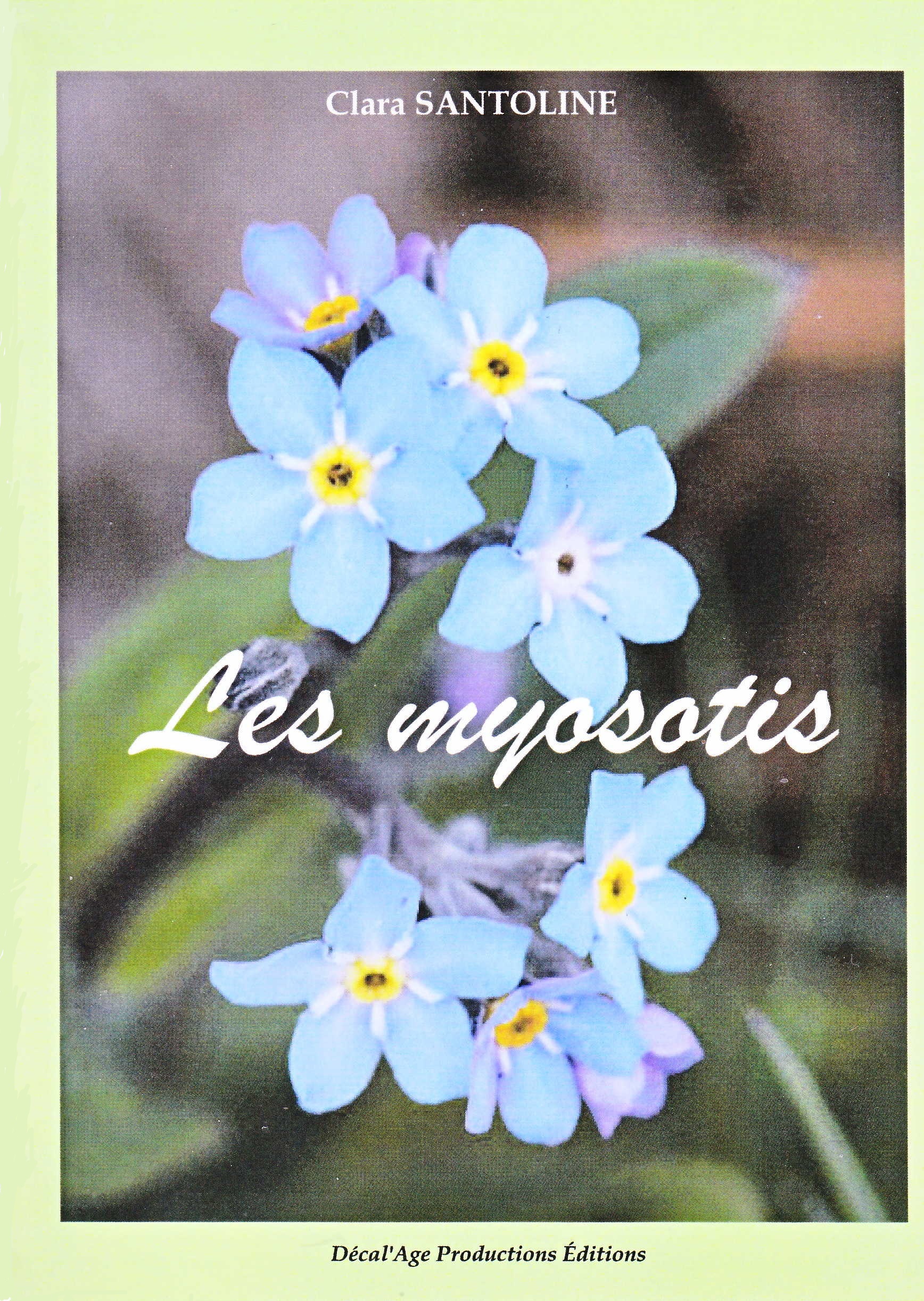 Les myosotis