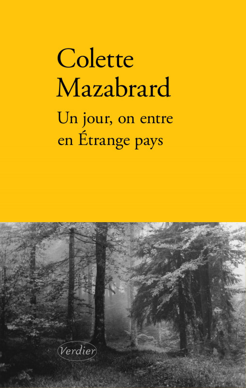 Un jour on entre en étrange pays