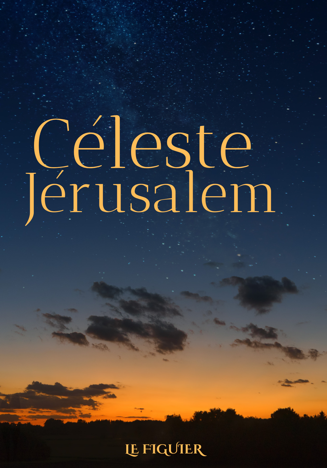 CéLESTE JéRUSALEM  MéDICARTE