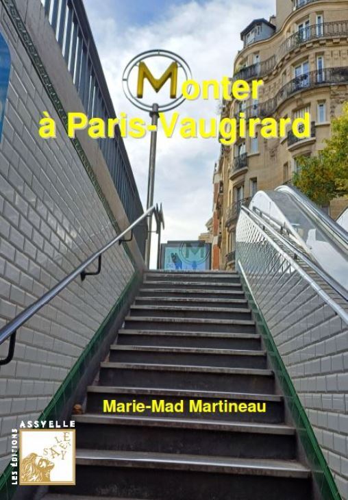 Monter à Paris-Vaugirard