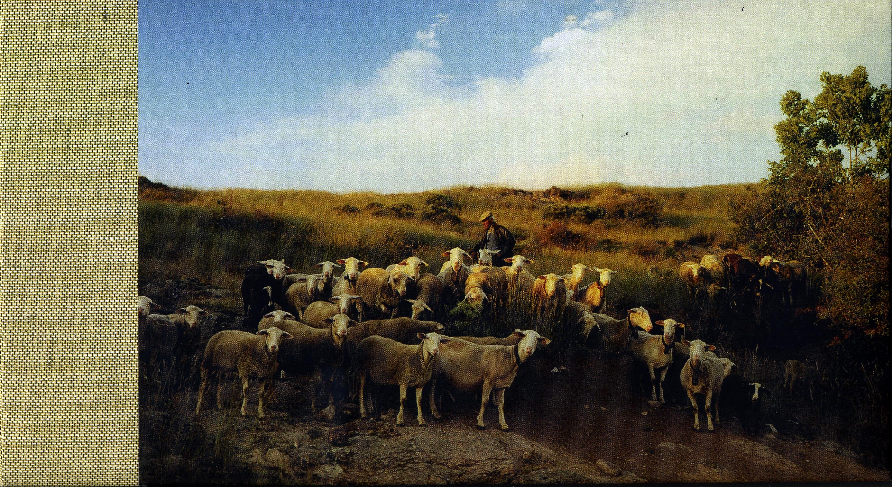 VIE MODERNE (LA) - 2 DVD