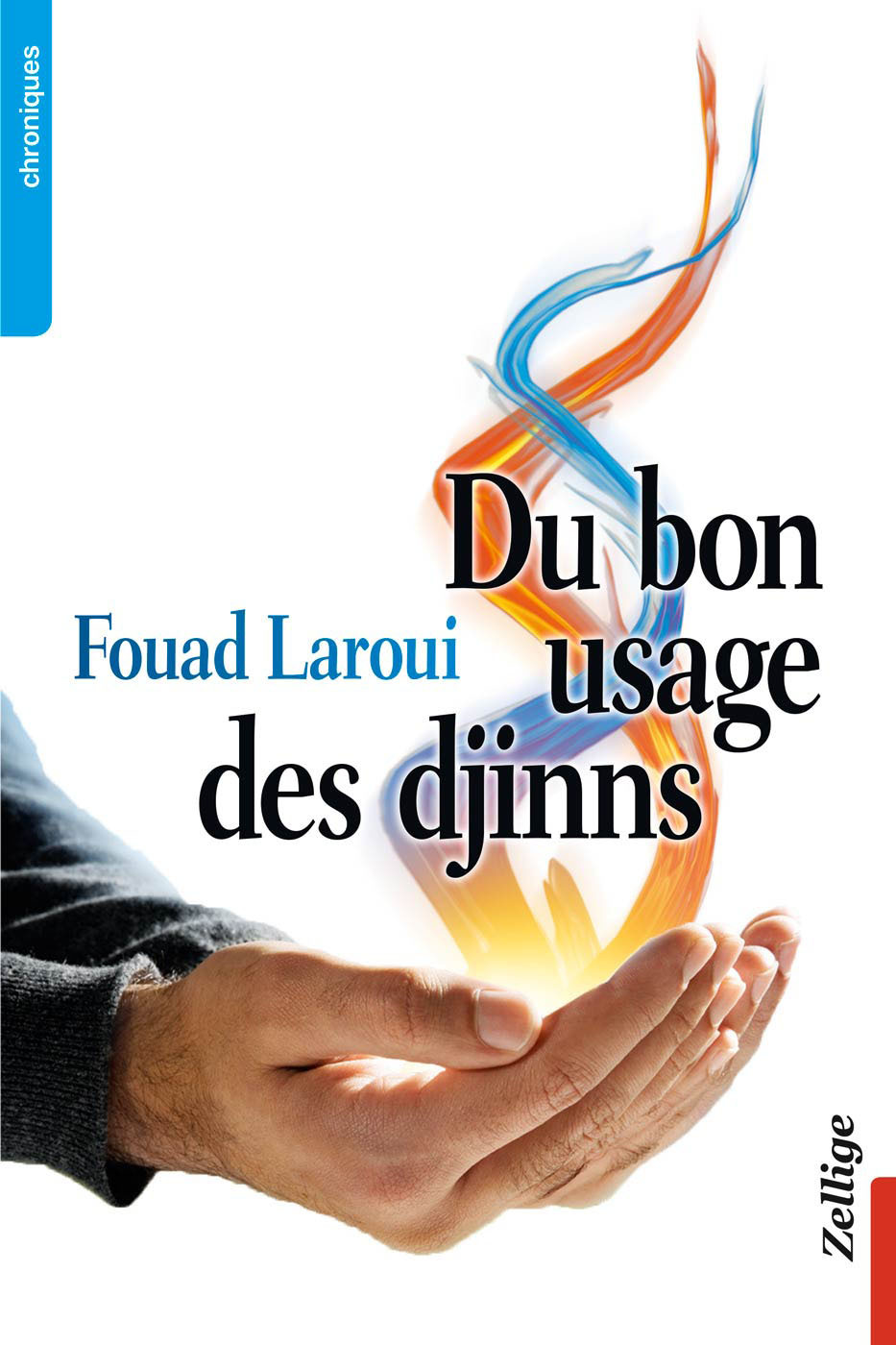 Du Bon Usage Des Djinns