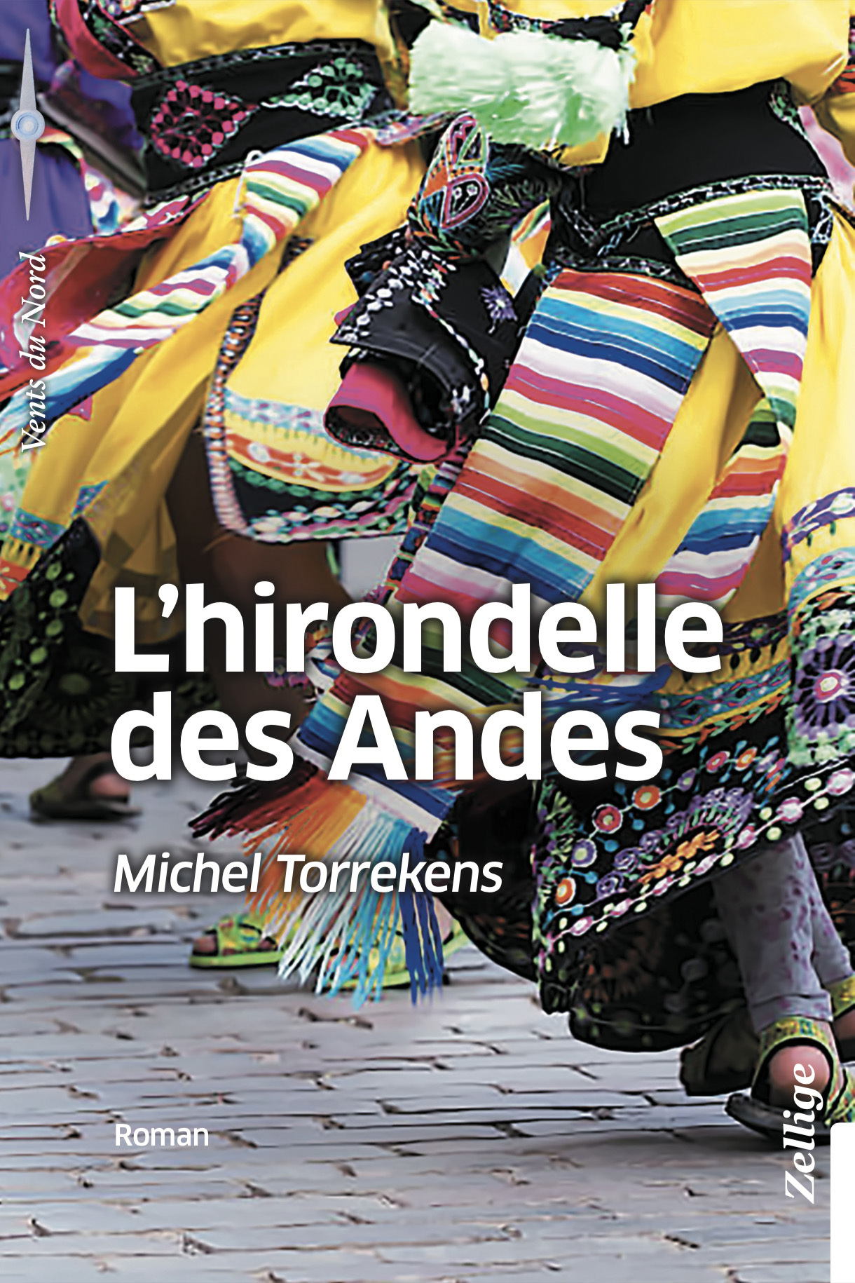 L'hirondelle des Andes