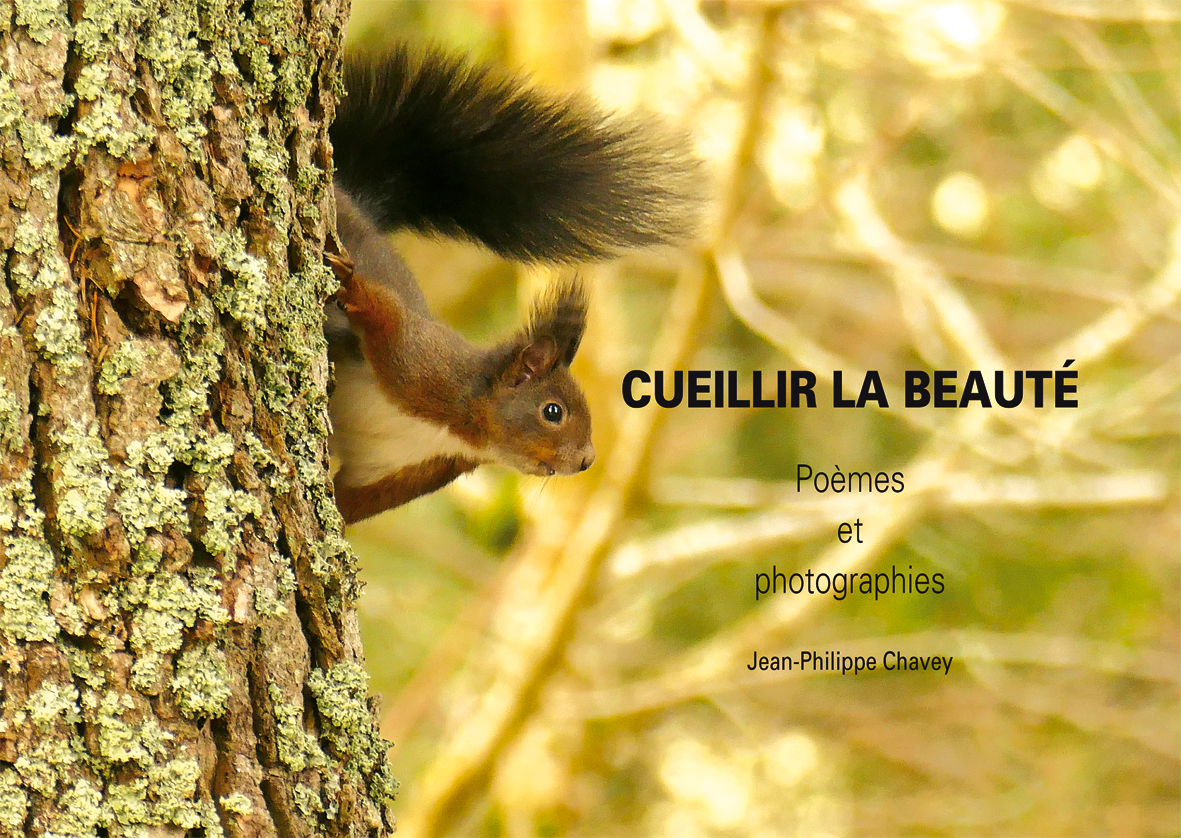 Cueillir la beauté. Poèmes et photographies