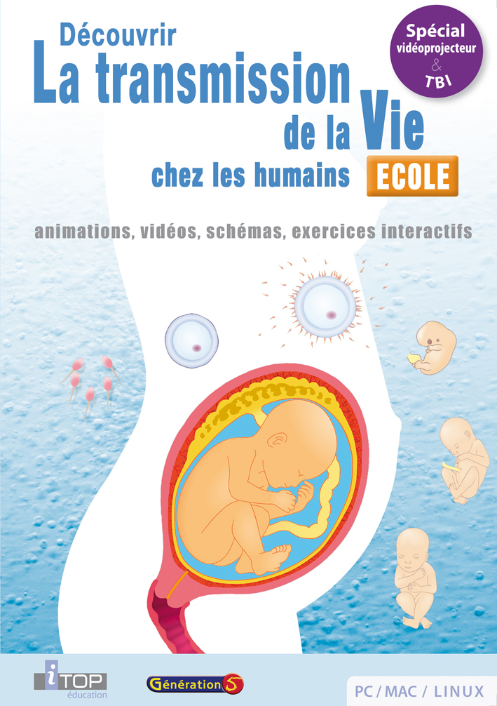 Transmission de la vie chez les humains (Cycle 3 - SEGPA)