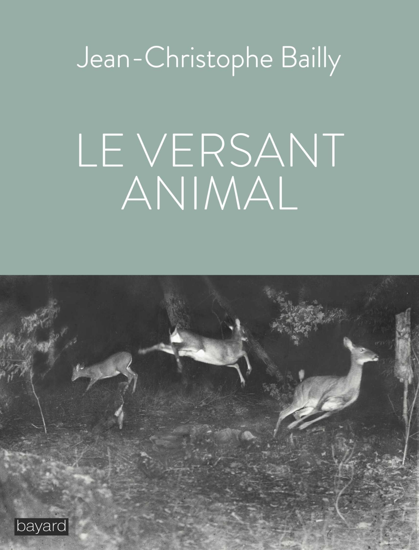 LE VERSANT ANIMAL NED