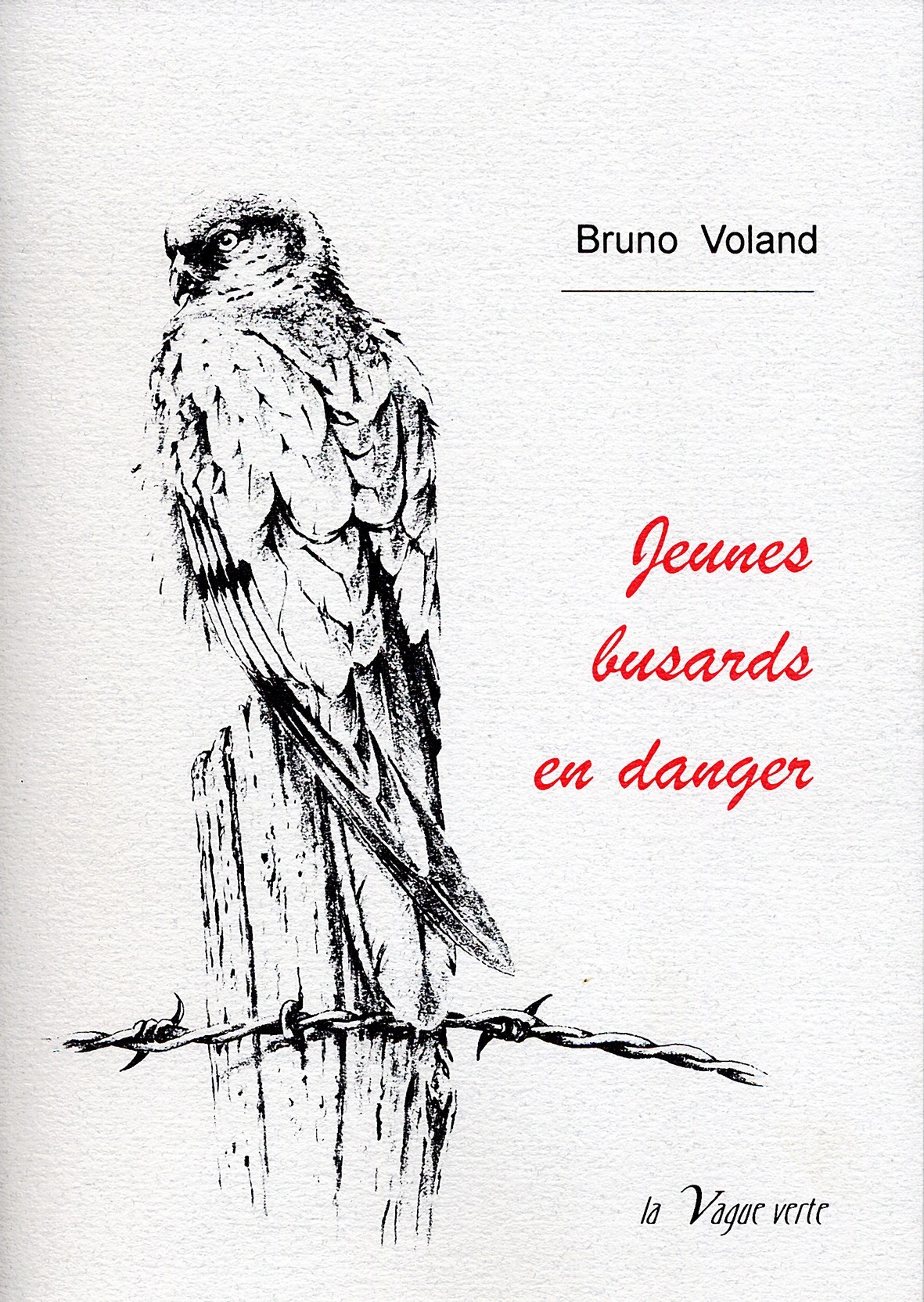 Jeunes busards en danger