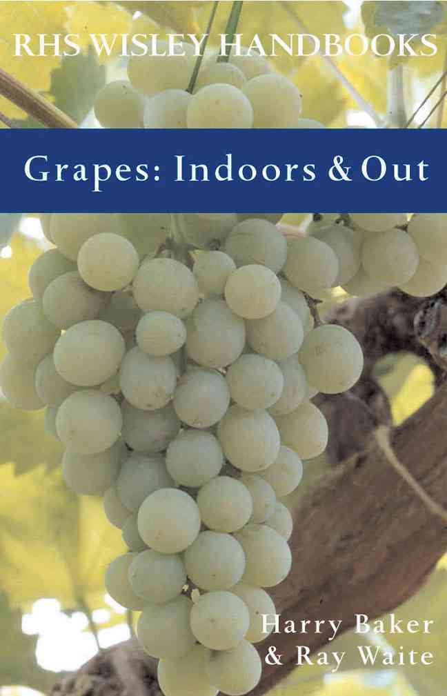 Grapes