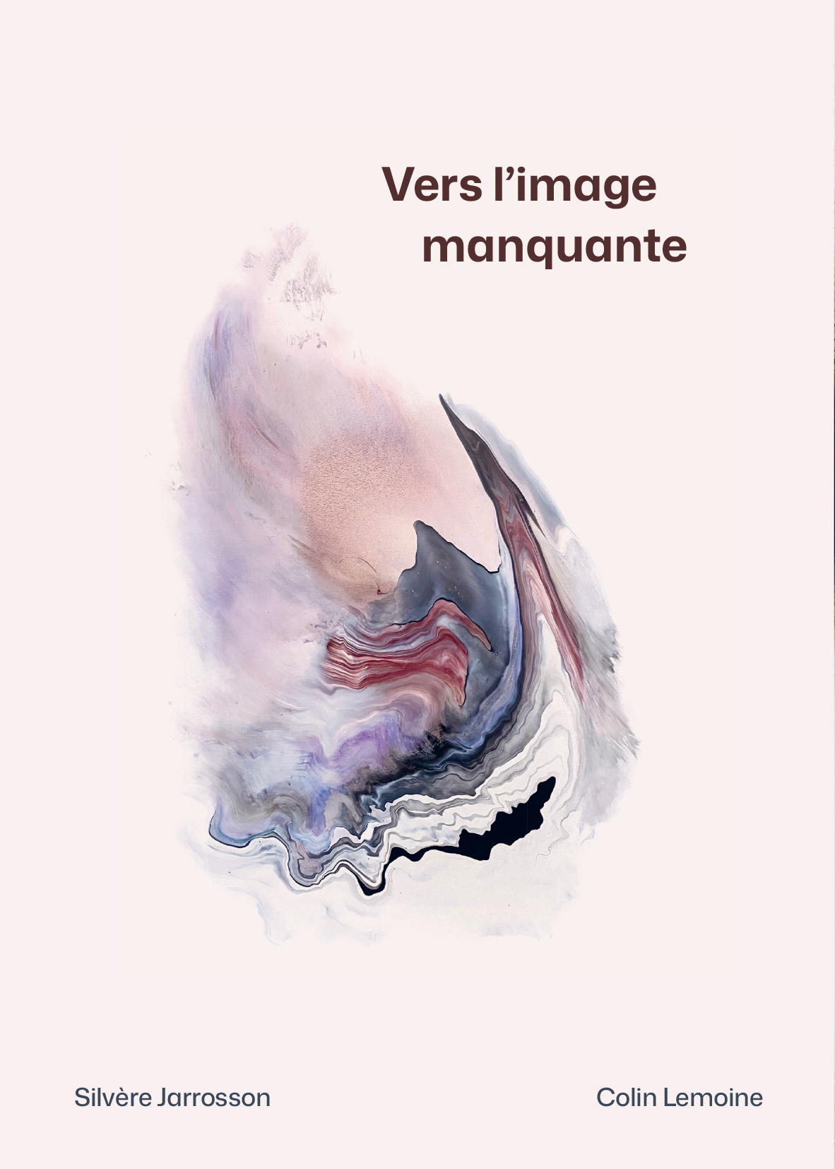 Vers l'image manquante