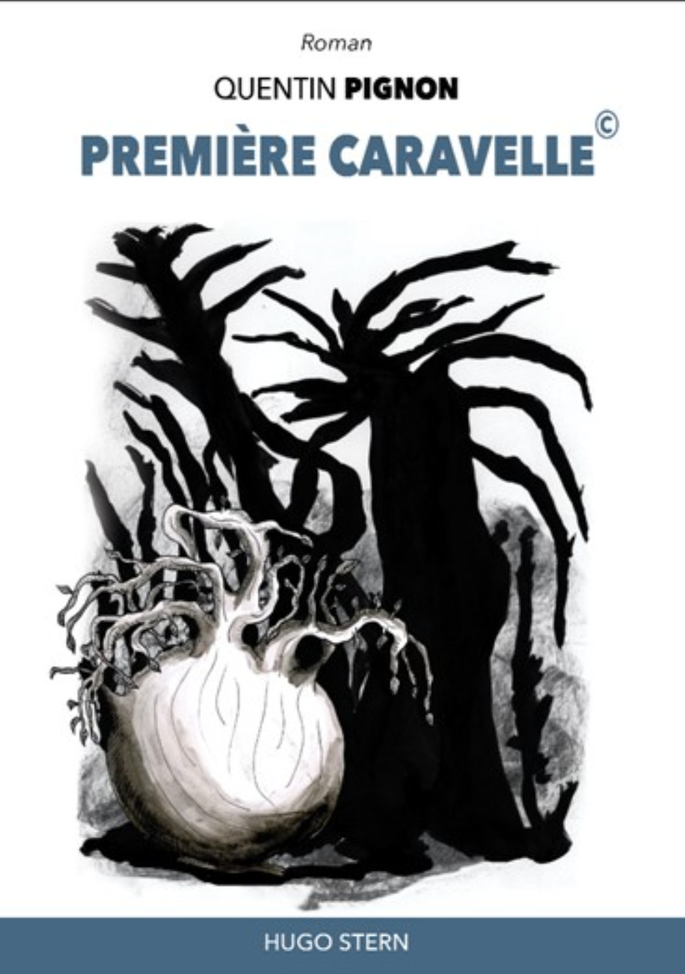 Première caravelle ©
