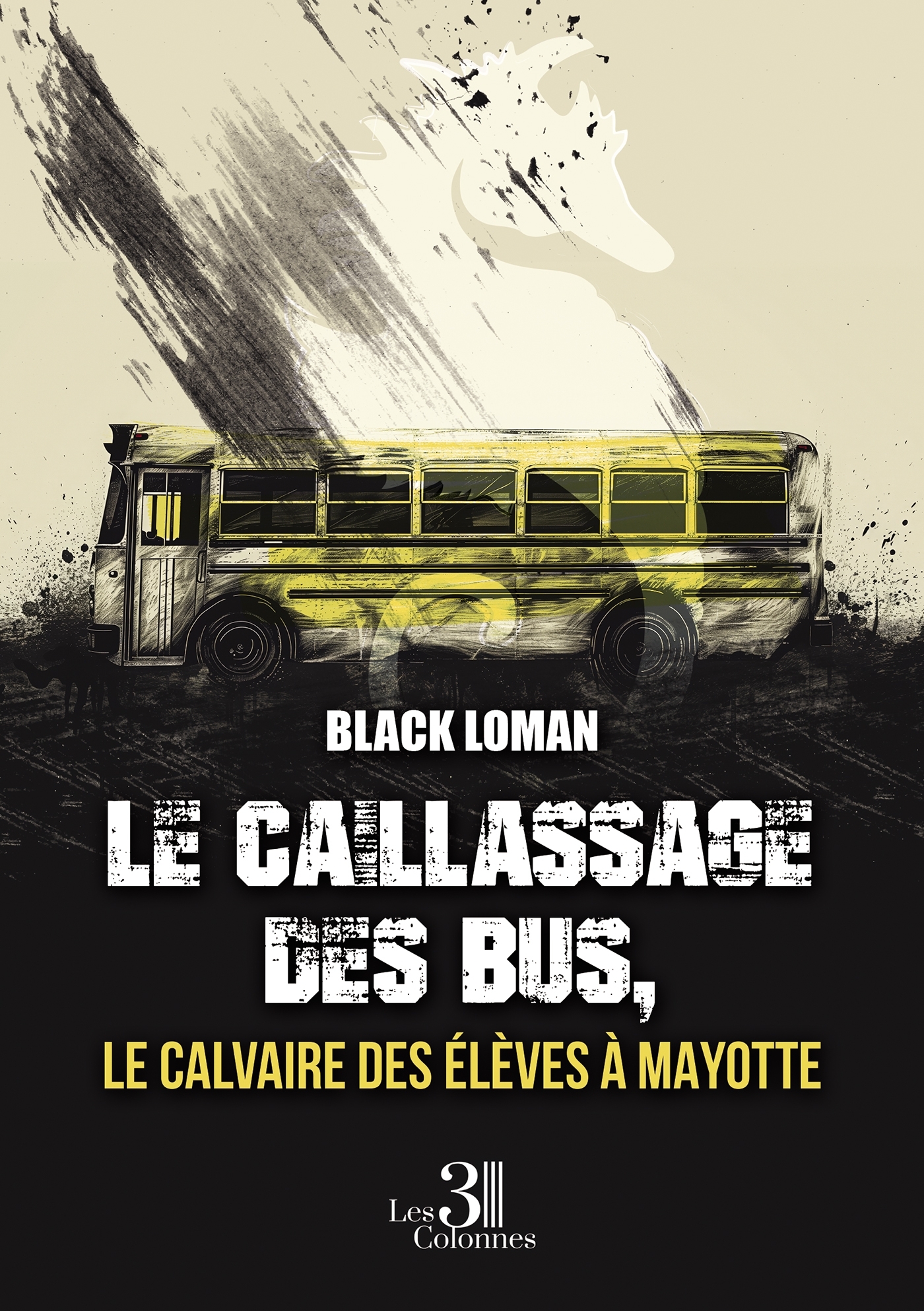 Le caillassage des bus, le calvaire des élèves à Mayotte