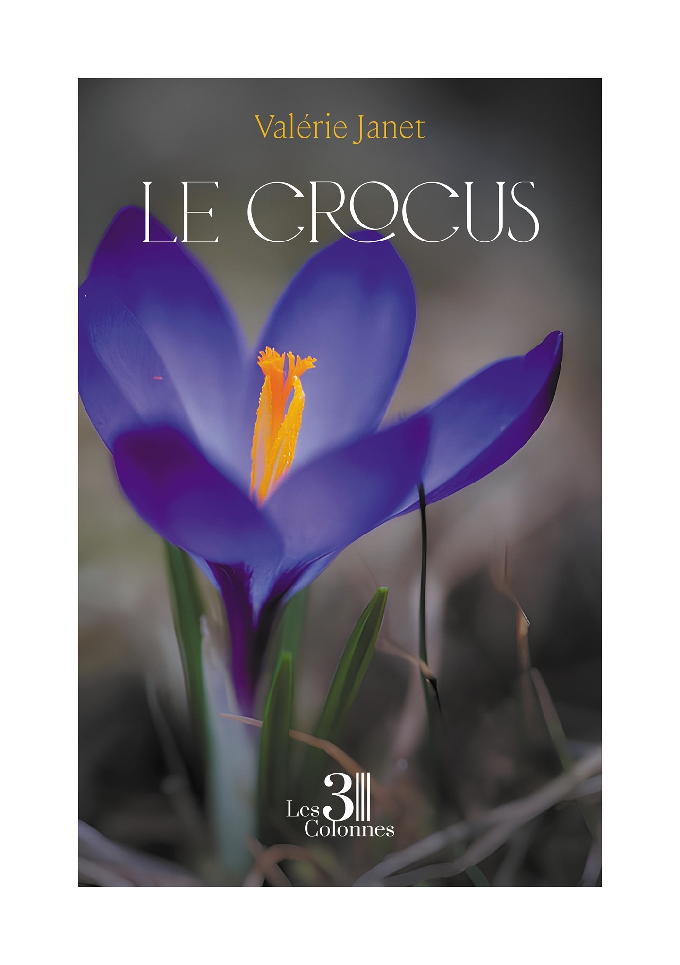 Le crocus