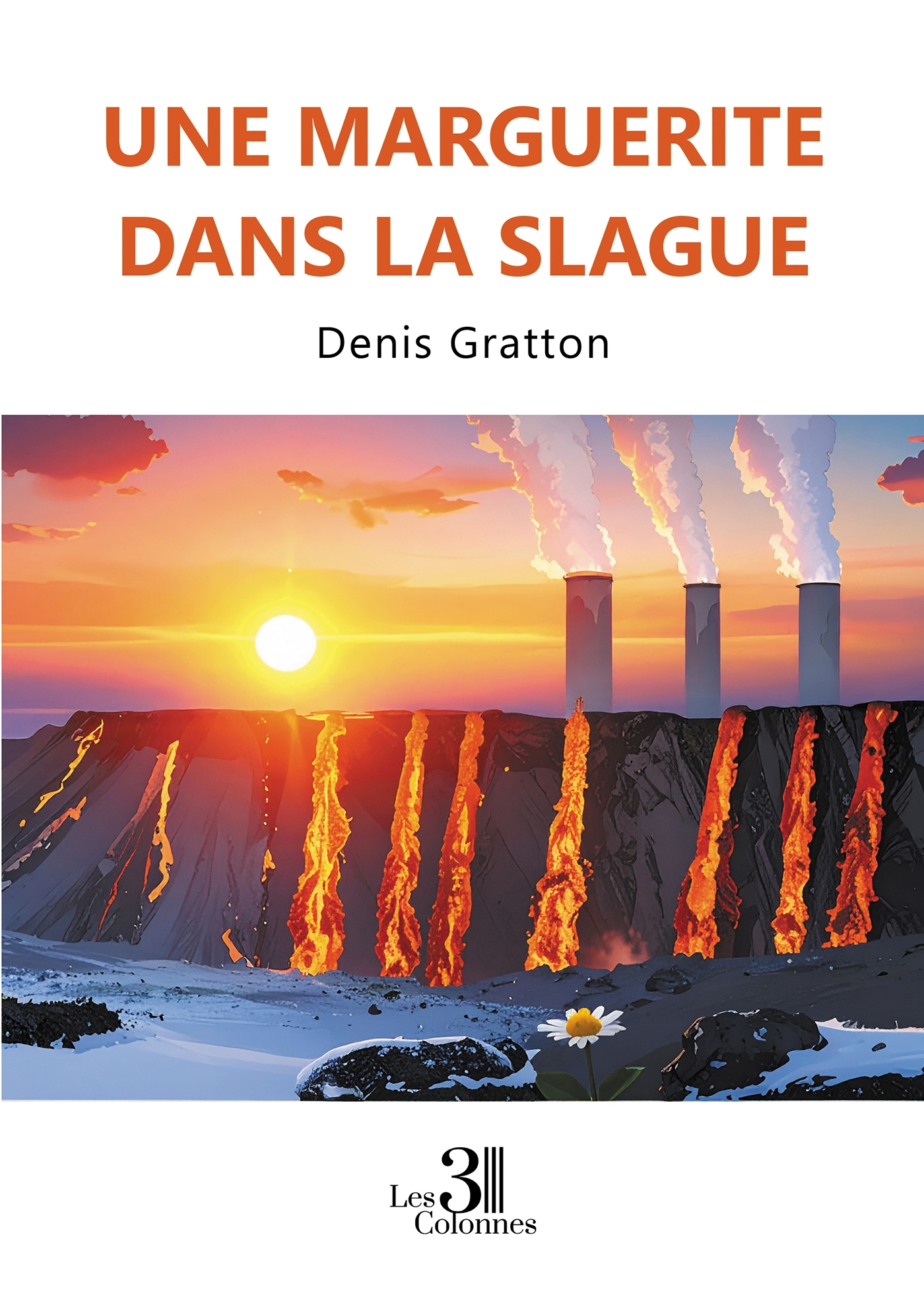 Une marguerite dans la slague